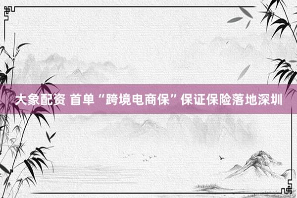 大象配资 首单“跨境电商保”保证保险落地深圳